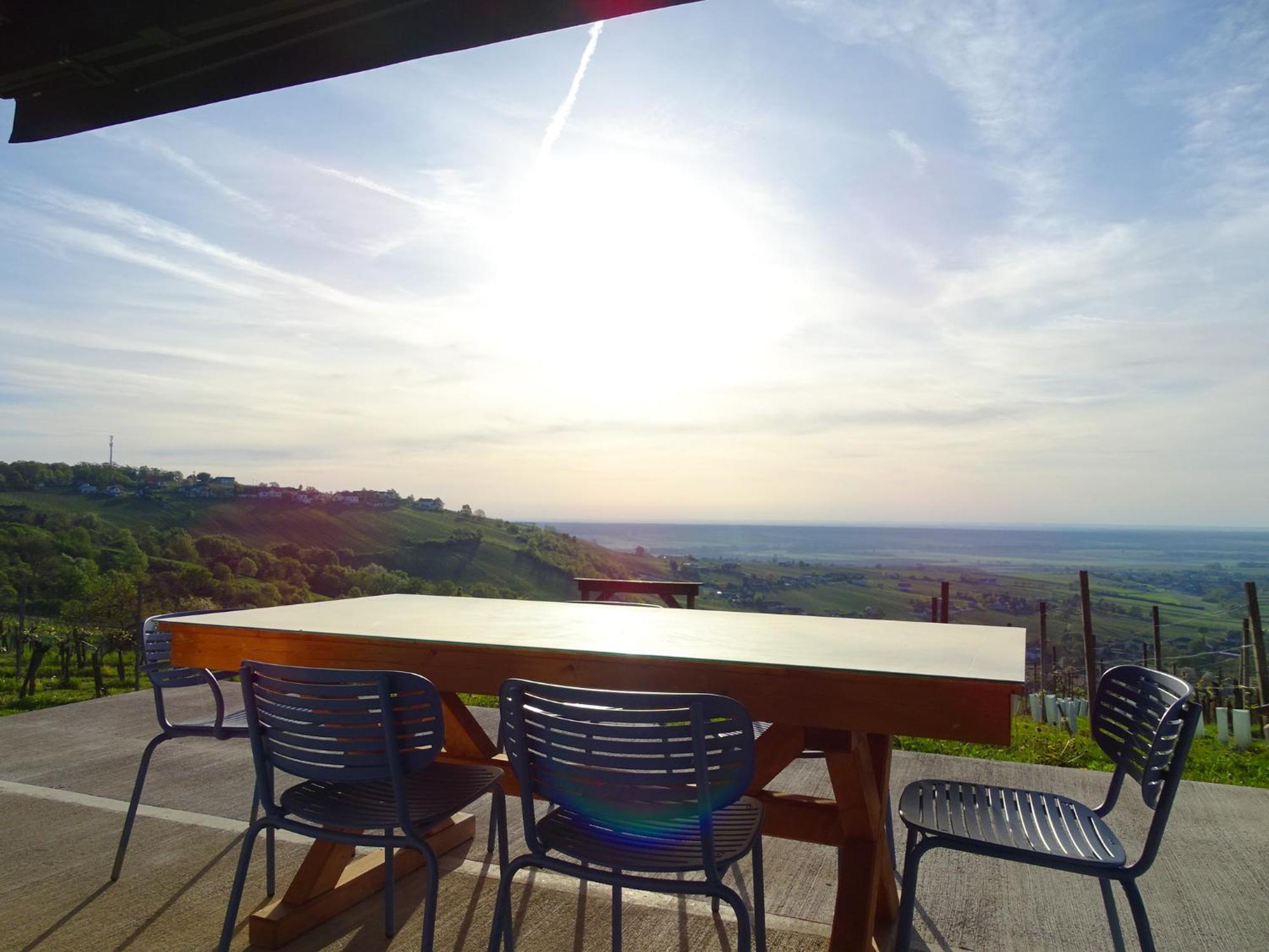 Kellerstoeckl Am Berg Villa Eisenberg an der Pinka Dış mekan fotoğraf