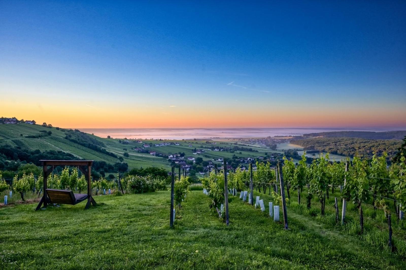 Kellerstoeckl Am Berg Villa Eisenberg an der Pinka Dış mekan fotoğraf